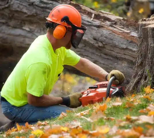 tree services Prien